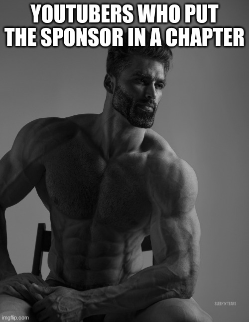 thank you | YOUTUBERS WHO PUT THE SPONSOR IN A CHAPTER | image tagged in giga chad | made w/ Imgflip meme maker