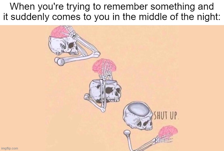 Literally me when Remember something i need to do LMAO | When you're trying to remember something and it suddenly comes to you in the middle of the night: | image tagged in shut up brain,relatable memes,remember,memes,funny,so true memes | made w/ Imgflip meme maker