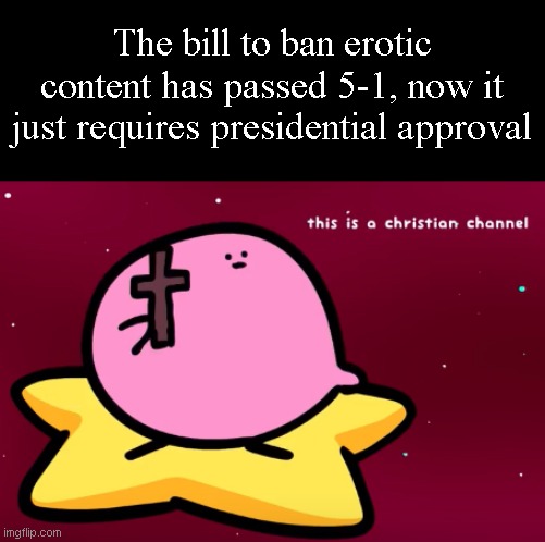 Christian Kirbo | The bill to ban erotic content has passed 5-1, now it just requires presidential approval | image tagged in christian kirbo | made w/ Imgflip meme maker