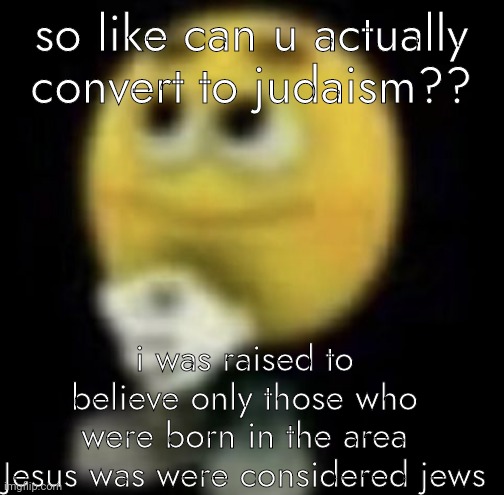 shit | so like can u actually convert to judaism?? i was raised to believe only those who were born in the area Jesus was were considered jews | image tagged in shit | made w/ Imgflip meme maker