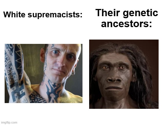 Reminder that there is more genetic variation WITHIN a race than between races | Their genetic ancestors:; White supremacists: | image tagged in blank white template,white supremacists,nazis,evolution,conservative logic,racism | made w/ Imgflip meme maker