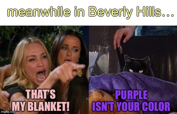 taclivE has a new blanket | meanwhile in Beverly Hills…; PURPLE ISN’T YOUR COLOR; THAT’S MY BLANKET! | image tagged in woman yelling at taclive,memes,raycat,taclive | made w/ Imgflip meme maker