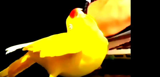 what was that Blank Meme Template
