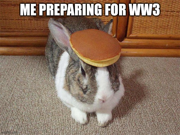 In case WWIII Happens... | ME PREPARING FOR WW3 | image tagged in bunny pancake,world war 3,war,training | made w/ Imgflip meme maker