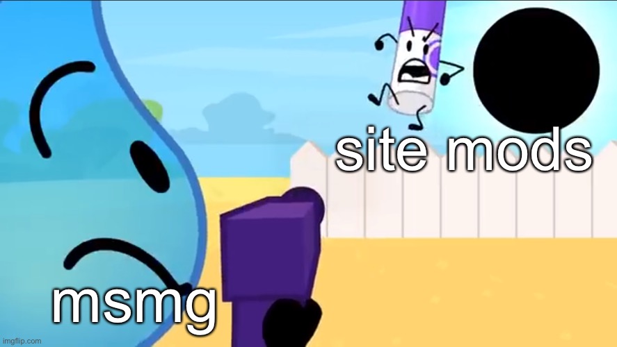 be like | site mods; msmg | image tagged in bfdi tpot 2 meme template | made w/ Imgflip meme maker