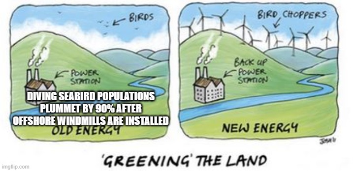 Killer energy | DIVING SEABIRD POPULATIONS PLUMMET BY 90% AFTER OFFSHORE WINDMILLS ARE INSTALLED | made w/ Imgflip meme maker