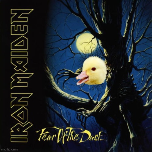 Who else hears this??? | image tagged in duck,heavy metal,iron maiden,fear of the dark | made w/ Imgflip meme maker