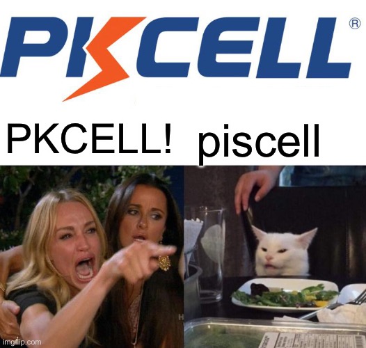 PKCELL! piscell | image tagged in memes,woman yelling at cat | made w/ Imgflip meme maker