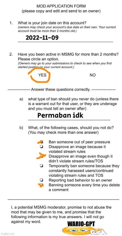 2022-11-09 Permaban idk WARIO-GPT | image tagged in mod application form beta | made w/ Imgflip meme maker