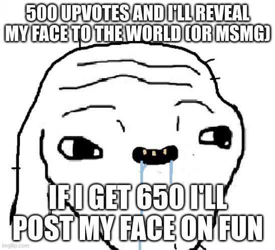 Stupid face | 500 UPVOTES AND I'LL REVEAL MY FACE TO THE WORLD (OR MSMG); IF I GET 650 I'LL POST MY FACE ON FUN | image tagged in stupid face | made w/ Imgflip meme maker