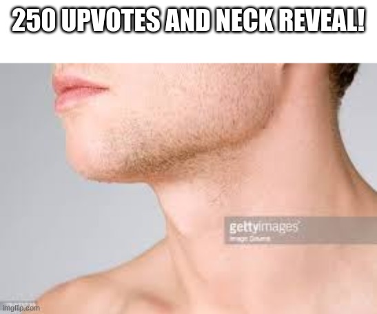 250 UPVOTES AND NECK REVEAL! | made w/ Imgflip meme maker
