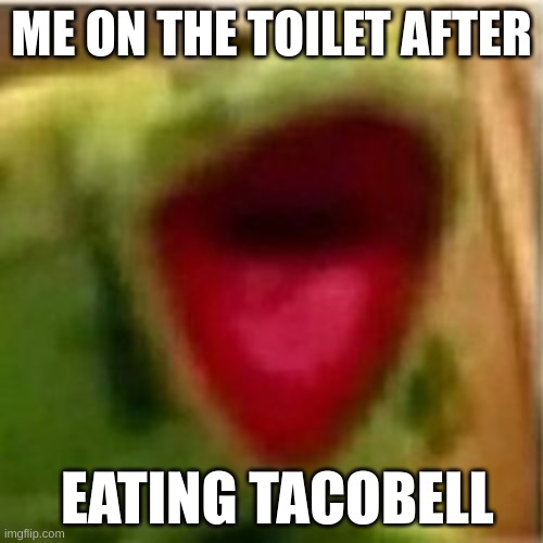 kermit meme | ME ON THE TOILET AFTER; EATING TACOBELL | image tagged in funny memes | made w/ Imgflip meme maker
