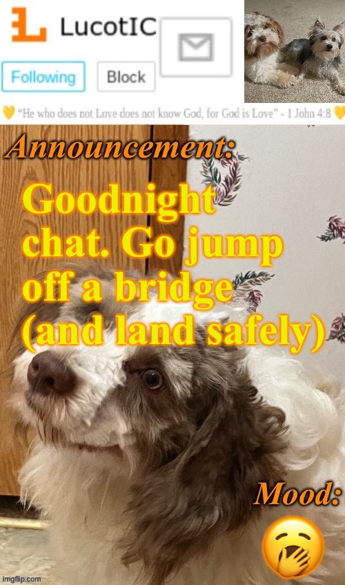 . | Goodnight chat. Go jump off a bridge (and land safely); 🥱 | image tagged in lucotic s fangz announcement temp thanks strike | made w/ Imgflip meme maker