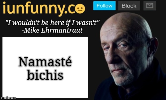 iUnFunny's Mike Ehrmantraut template | Namasté bichis | image tagged in iunfunny's mike ehrmantraut template | made w/ Imgflip meme maker