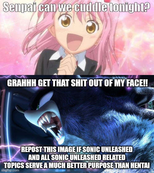 Senpai can we cuddle tonight? GRAHHH GET THAT SHIT OUT OF MY FACE!! REPOST THIS IMAGE IF SONIC UNLEASHED AND ALL SONIC UNLEASHED RELATED TOPICS SERVE A MUCH BETTER PURPOSE THAN HENTAI | image tagged in aww anime girl | made w/ Imgflip meme maker