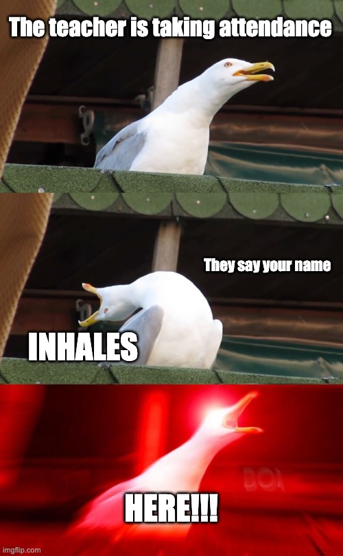 ATTENDANCE | The teacher is taking attendance; They say your name; INHALES; HERE!!! | image tagged in inhaling seagull | made w/ Imgflip meme maker