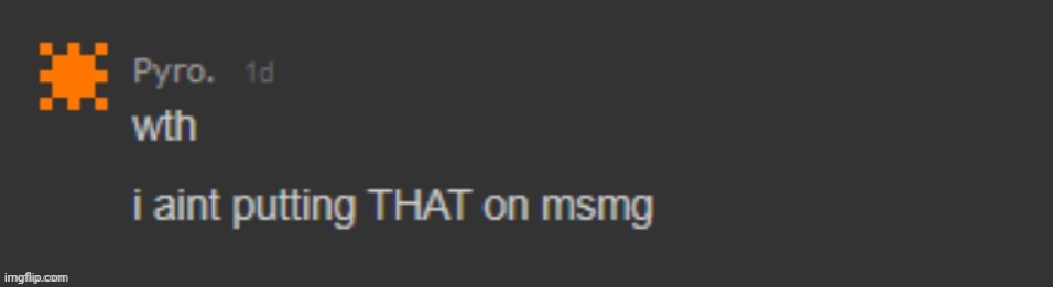wth i aint putting THAT on msmg | image tagged in wth i aint putting that on msmg | made w/ Imgflip meme maker
