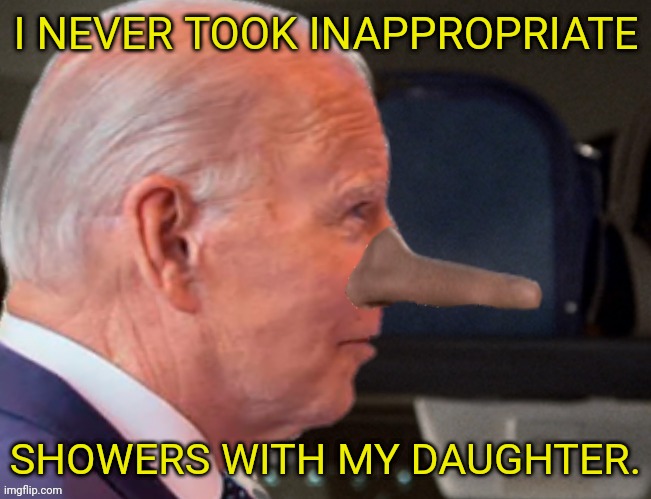 Pinocchio Joe | I NEVER TOOK INAPPROPRIATE; SHOWERS WITH MY DAUGHTER. | image tagged in joe biden,airplane,leslie nielsen,pedophile | made w/ Imgflip meme maker