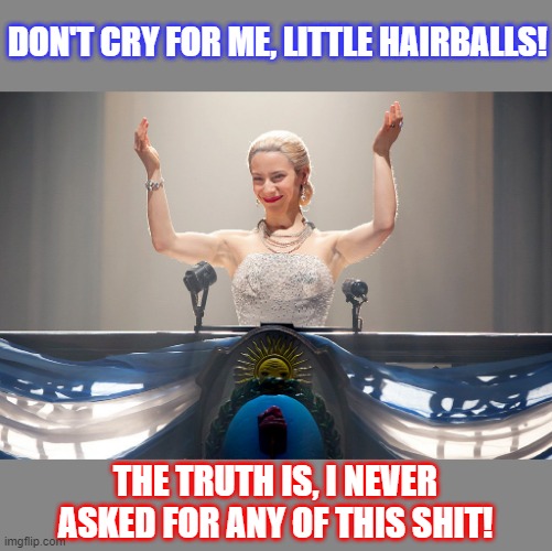 Don't cry for me you mooching little hairballs. | DON'T CRY FOR ME, LITTLE HAIRBALLS! THE TRUTH IS, I NEVER ASKED FOR ANY OF THIS SHIT! | image tagged in don't cry for me you mooching little hairballs | made w/ Imgflip meme maker