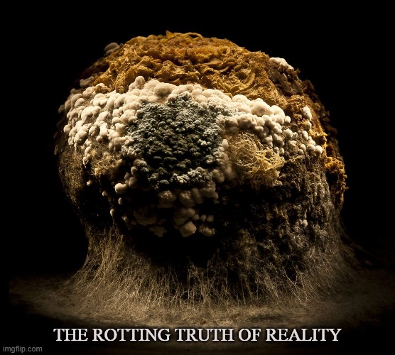 Rotten | THE ROTTING TRUTH OF REALITY | image tagged in rotting,decay,death,fertilizer,stench,rotted | made w/ Imgflip meme maker