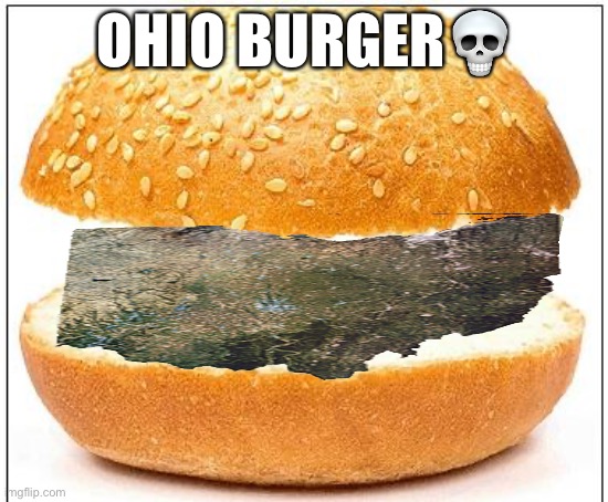 Nothing burger | OHIO BURGER💀 | image tagged in nothing burger | made w/ Imgflip meme maker