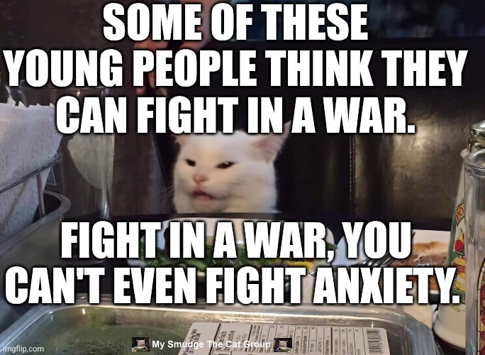 SOME OF THESE YOUNG PEOPLE THINK THEY CAN FIGHT IN A WAR. FIGHT IN A WAR, YOU CAN'T EVEN FIGHT ANXIETY. | image tagged in smudge the cat | made w/ Imgflip meme maker
