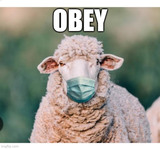 OBEY | made w/ Imgflip meme maker