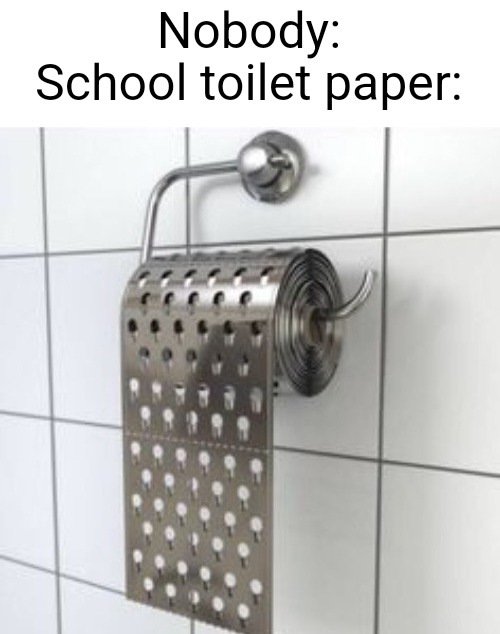 true | Nobody:
School toilet paper: | image tagged in school | made w/ Imgflip meme maker