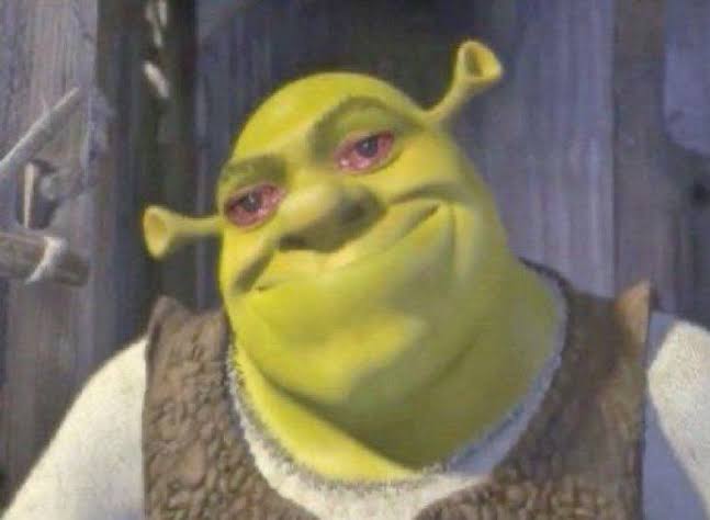 Shrek with insomnia Blank Meme Template