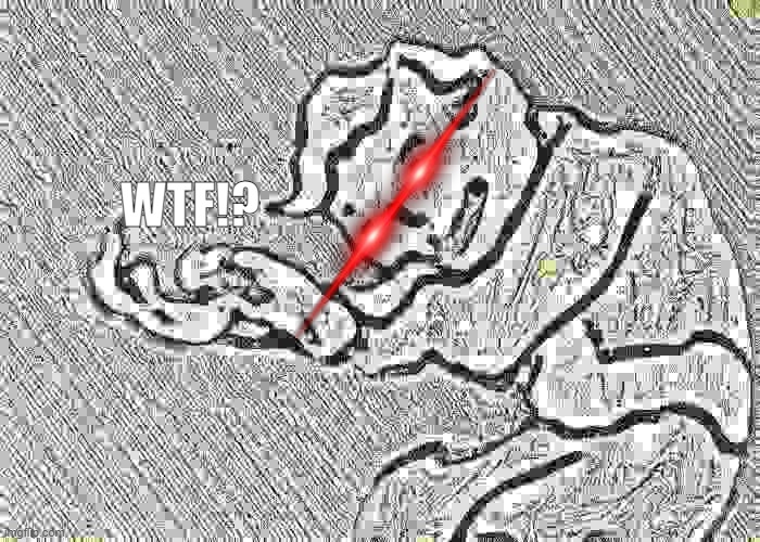 I'm sorry what? | WTF!? | image tagged in i'm sorry what | made w/ Imgflip meme maker