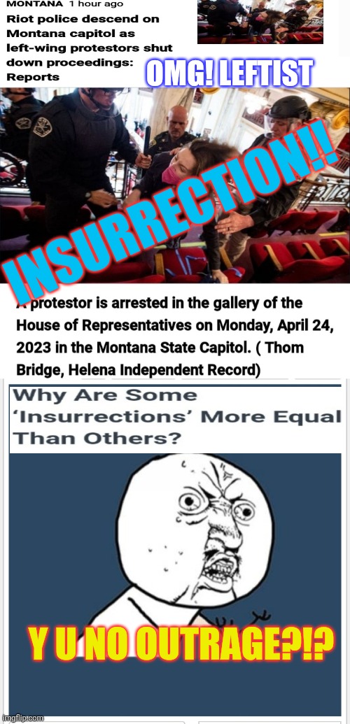 Stop Democrat Insurrection! OMG | OMG! LEFTIST; INSURRECTION!! Y U NO OUTRAGE?!? | image tagged in libtards,you're fired,retarded liberal protesters,goofy stupid liberal college student,vote trump | made w/ Imgflip meme maker