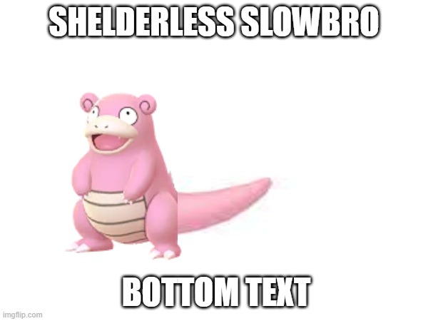 SHELDERLESS SLOWBRO; BOTTOM TEXT | image tagged in lol,pokemon,slowpoke | made w/ Imgflip meme maker