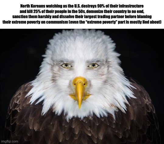 Neolibs try to provide context when arguing challenge (impossible!!) | North Koreans watching as the U.S. destroys 90% of their infrastructure and kill 25% of their people in the 50s, demonize their country to no end, sanction them harshly and dissolve their largest trading partner before blaming their extreme poverty on communism (even the “extreme poverty” part is mostly lied about) | image tagged in bald eagle stare | made w/ Imgflip meme maker
