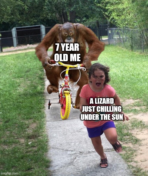 Orangutan chasing girl on a tricycle | 7 YEAR OLD ME A LIZARD JUST CHILLING UNDER THE SUN | image tagged in orangutan chasing girl on a tricycle | made w/ Imgflip meme maker