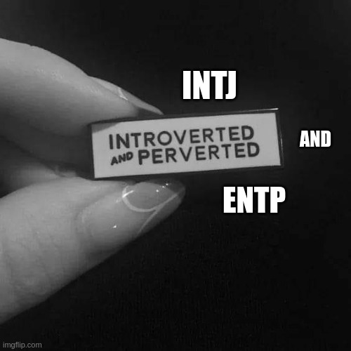 INTJ and ENTP love | INTJ; AND; ENTP | image tagged in introverted,intj,entp,pervert,mbti,myers briggs | made w/ Imgflip meme maker
