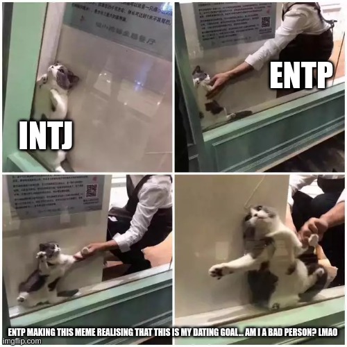 ENTP Relationship Goals | ENTP; INTJ; ENTP MAKING THIS MEME REALISING THAT THIS IS MY DATING GOAL... AM I A BAD PERSON? LMAO | image tagged in introvert cat,entp,intj,relationship,mbti,myers briggs | made w/ Imgflip meme maker