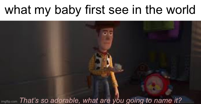 what my baby first see in the world; That’s so adorable, what are you going to name it? | image tagged in fun,reverb,oh wow are you actually reading these tags,memes,woody | made w/ Imgflip meme maker