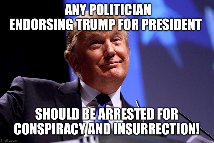 Donald Trump No2 | ANY POLITICIAN ENDORSING TRUMP FOR PRESIDENT; SHOULD BE ARRESTED FOR CONSPIRACY AND INSURRECTION! | image tagged in donald trump no2 | made w/ Imgflip meme maker