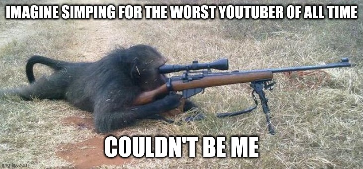 Sniper Monkey | IMAGINE SIMPING FOR THE WORST YOUTUBER OF ALL TIME COULDN'T BE ME | image tagged in sniper monkey | made w/ Imgflip meme maker