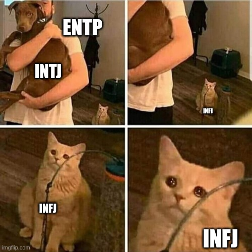INFJ Competitiveness | ENTP; INTJ; INFJ; INFJ; INFJ | image tagged in sad cat holding dog,infj,entp,intj,myers briggs,mbti | made w/ Imgflip meme maker