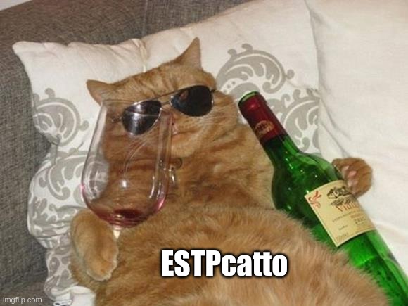 ESTPcatto | ESTPcatto | image tagged in funny cat birthday,estp,cat,myers briggs,mbti,personality | made w/ Imgflip meme maker