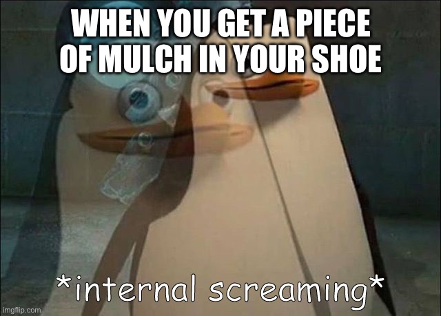 This…, is….. the…. WORST | WHEN YOU GET A PIECE OF MULCH IN YOUR SHOE | image tagged in private internal screaming | made w/ Imgflip meme maker
