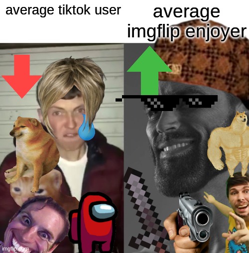 Average Fan vs Average Enjoyer | average imgflip enjoyer; average tiktok user | image tagged in average fan vs average enjoyer,tiktok,imgflip,memes,funny memes | made w/ Imgflip meme maker
