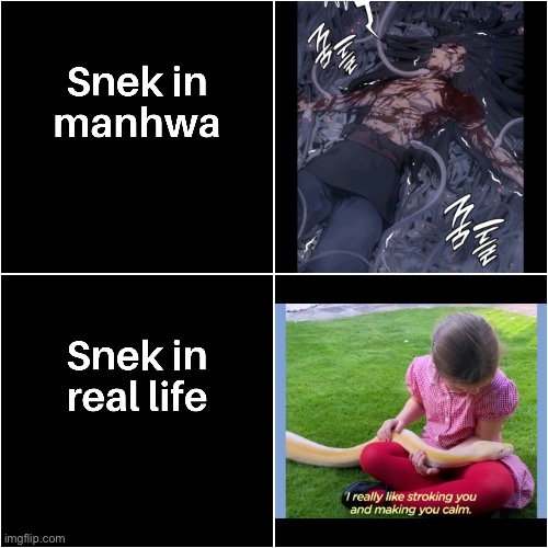image tagged in memes | made w/ Imgflip meme maker