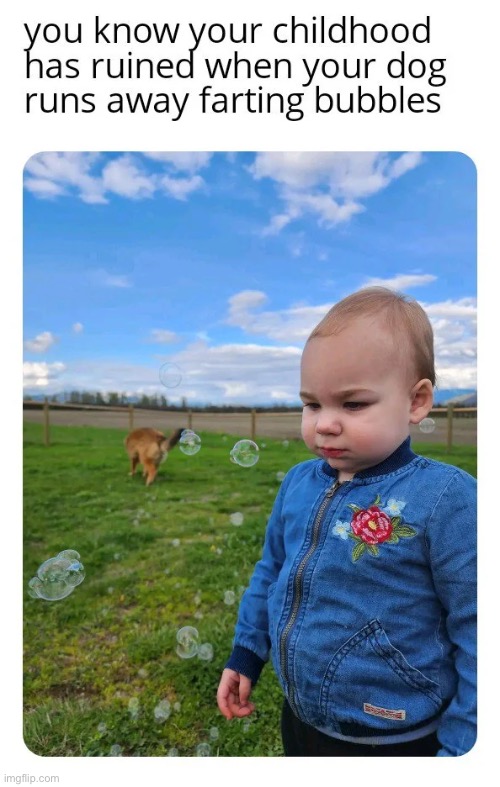 image tagged in memes | made w/ Imgflip meme maker