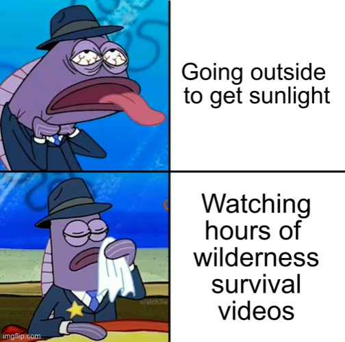 image tagged in memes | made w/ Imgflip meme maker