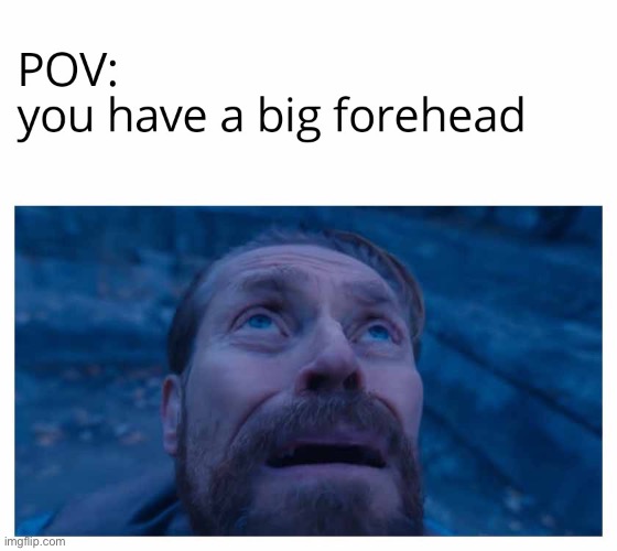 image tagged in memes | made w/ Imgflip meme maker