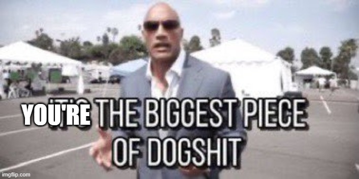 it's the biggest piece of dogshit | YOU'RE | image tagged in it's the biggest piece of dogshit | made w/ Imgflip meme maker