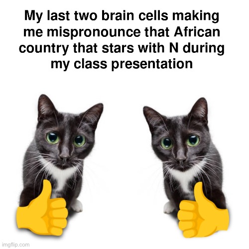 image tagged in memes | made w/ Imgflip meme maker