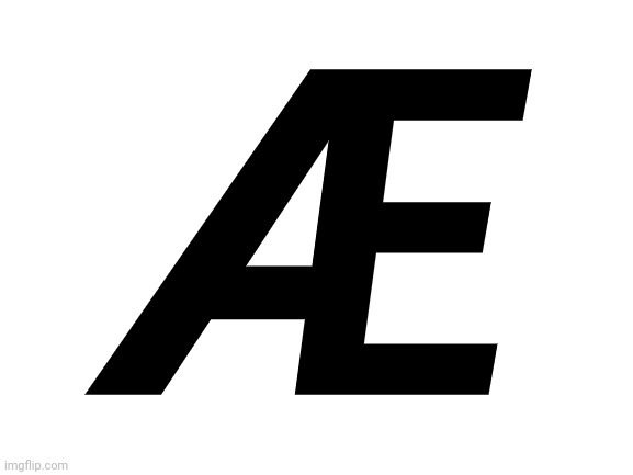 Blank White Template | Æ | image tagged in blank white template | made w/ Imgflip meme maker